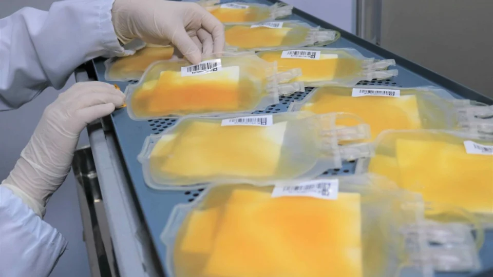 Hemoam reforça campanha para aumentar doações de plaquetas no Amazonas