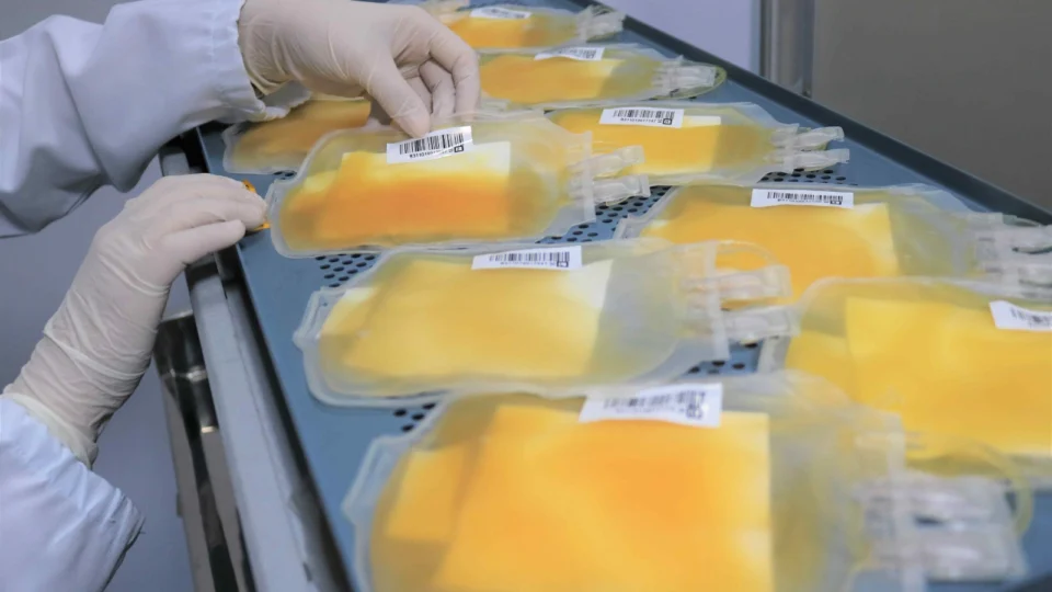 Após recorde em 2023, Hemoam reforça campanha para aumentar doações de plaquetas