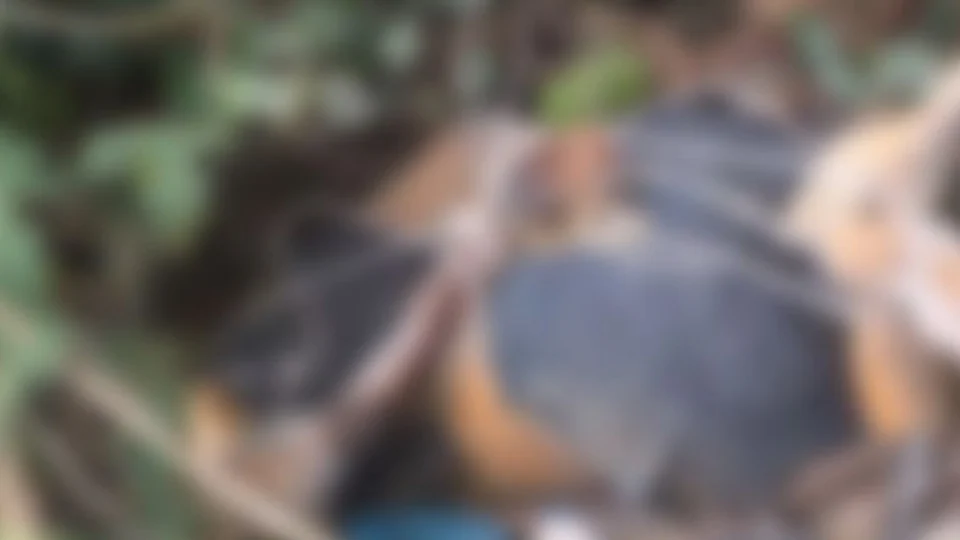 Amarrado e em estado de decomposição, corpo humano é encontrado em ramal na Zona Leste de Manaus