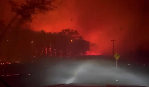 Plantação de Acácias vira cinzas no Norte de Roraima