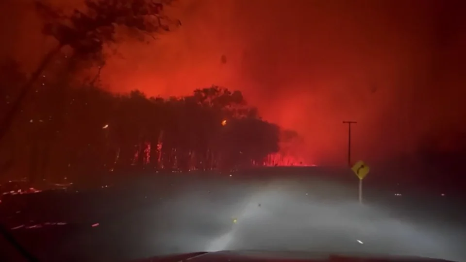 Plantação de Acácias vira cinzas no Norte de Roraima