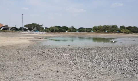 Lago dos Americanos desaparece: A triste realidade da seca em Roraima
