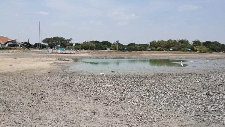 Lago dos Americanos desaparece: A triste realidade da seca em Roraima