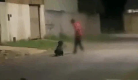 VEJA VÍDEO: cachorro é resgatado após ser arrastado e chicoteado com corrente