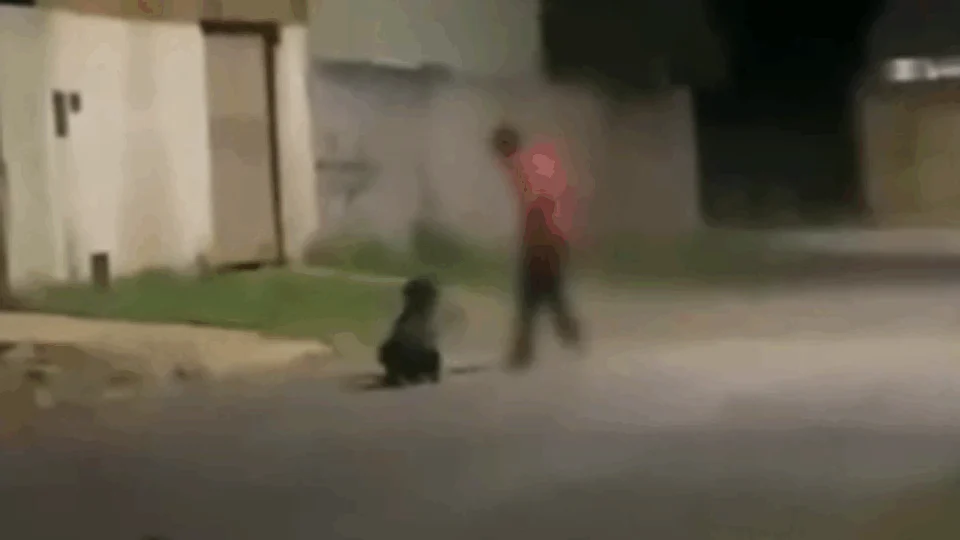 VEJA VÍDEO: cachorro é resgatado após ser arrastado e chicoteado com corrente