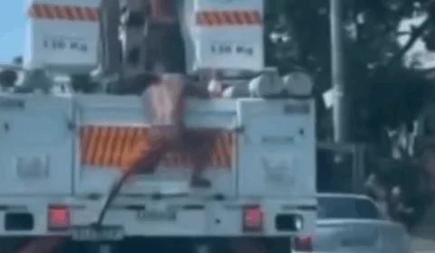 VEJA VÍDEO: homem furta cabos diretamente de veículo de concessionária de energia