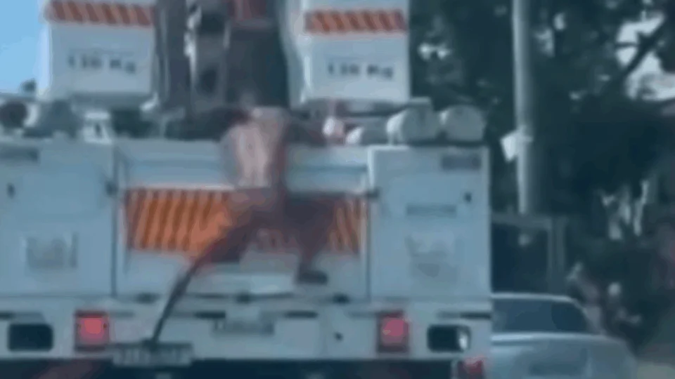 VEJA VÍDEO: homem furta cabos diretamente de veículo de concessionária de energia