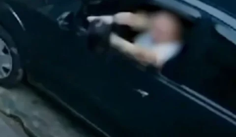 VEJA VÍDEO: mulher arremessa gata pela janela do carro e a abandona na rua