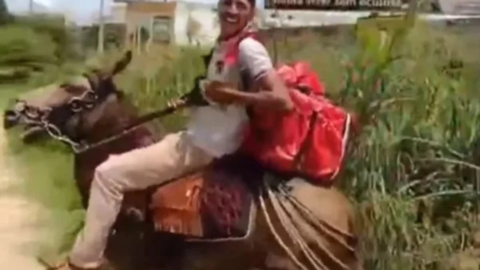VEJA VÍDEO: entregador trabalha montado em burro após perder moto em blitz