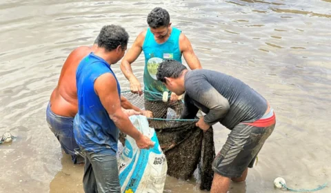 Vendas no Feirão do Pescado devem movimentar cerca de R$ 3 milhões
