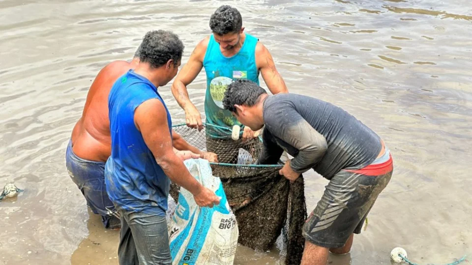 Vendas no Feirão do Pescado devem movimentar cerca de R$ 3 milhões