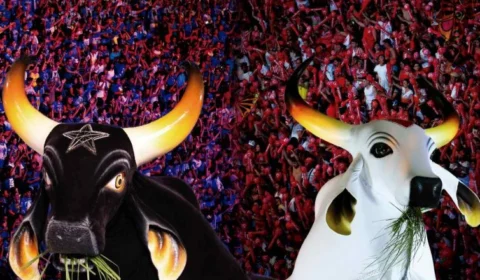 Bois Caprichoso e Garantido assinam autorização e farão show no BBB 24