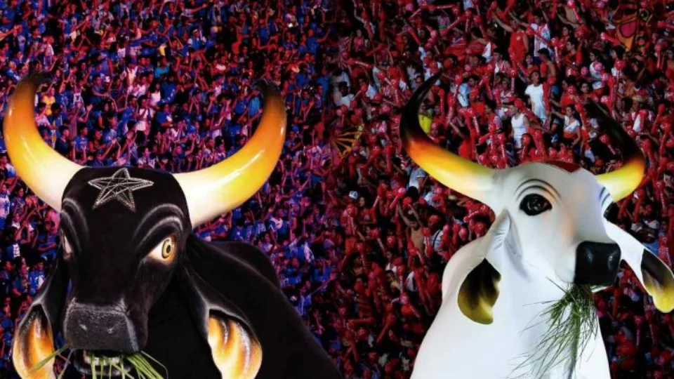 Bois Caprichoso e Garantido assinam autorização e farão show no BBB 24