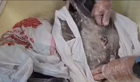 Passageiro de Manaus e é preso em aeroporto com drogas escondidas em peixes