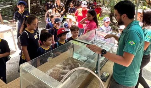 Evento científico populariza conhecimentos sobre peixes no Amazonas
