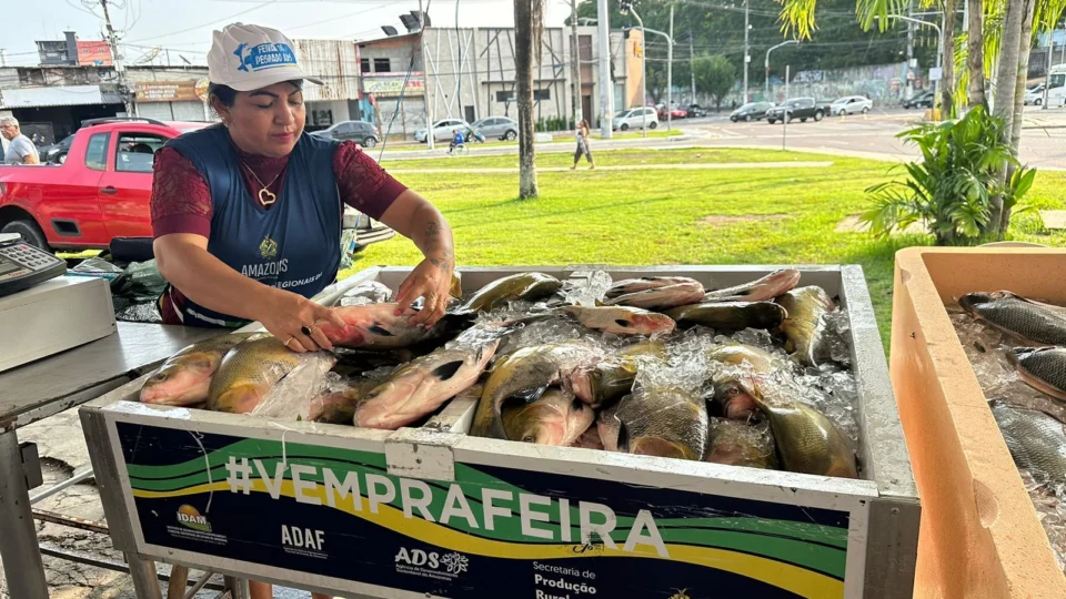 Feirão do Pescado 2024 comercializou 117 toneladas de peixes