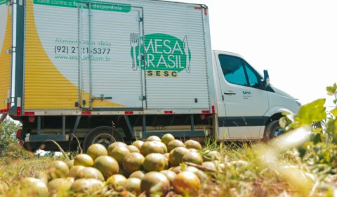 Credenciamento de instituições sociais no Mesa Brasil encerra nesta quarta-feira