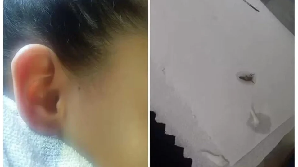 UPA manda criança com barata dentro do ouvido de volta para casa