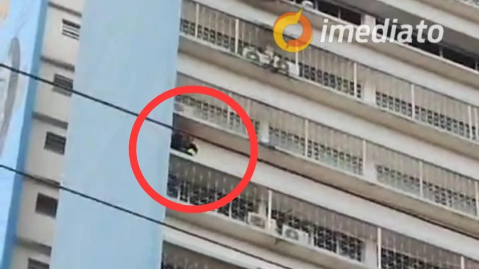 VÍDEOS: Bombeiros resgatam gato pendurado em janela de prédio no Centro de Manaus