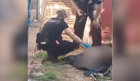 Polícia investiga morte de pit-bull com golpes de garfo de churrasco