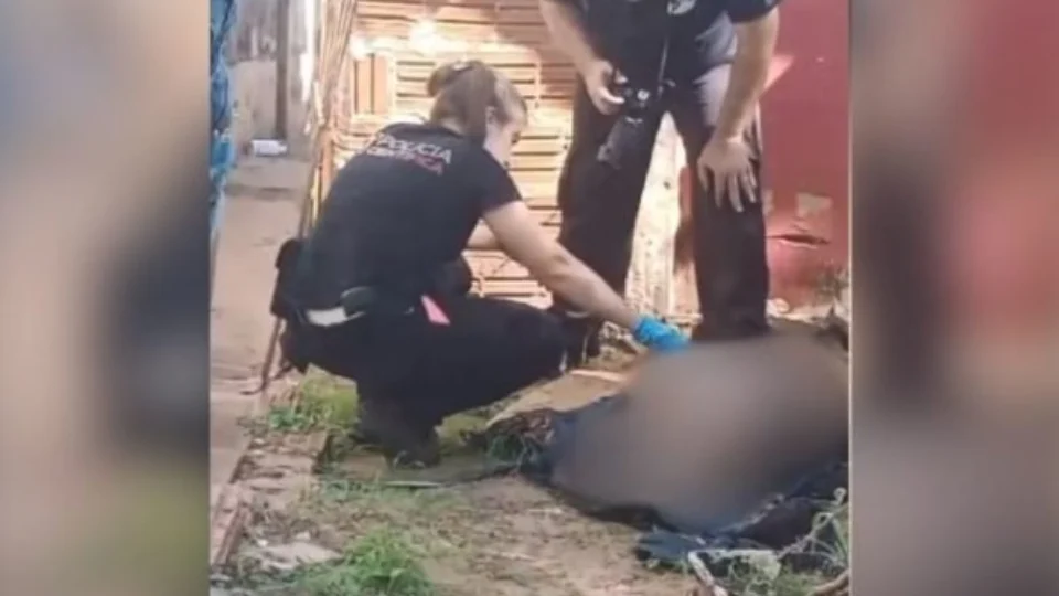 Polícia investiga morte de pit-bull com golpes de garfo de churrasco