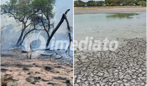 Boa Vista entra em estado de emergência em resposta à seca extrema