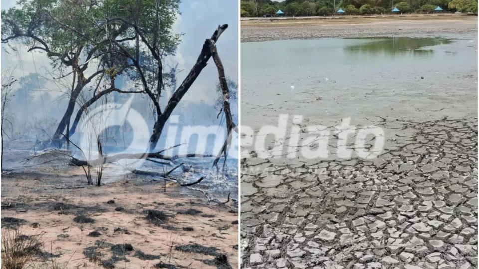 Boa Vista entra em estado de emergência em resposta à seca extrema