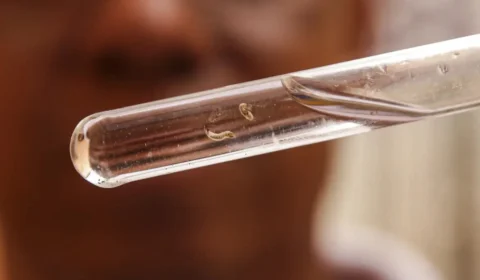 Brasil tem mais de um milhão de casos de dengue este ano