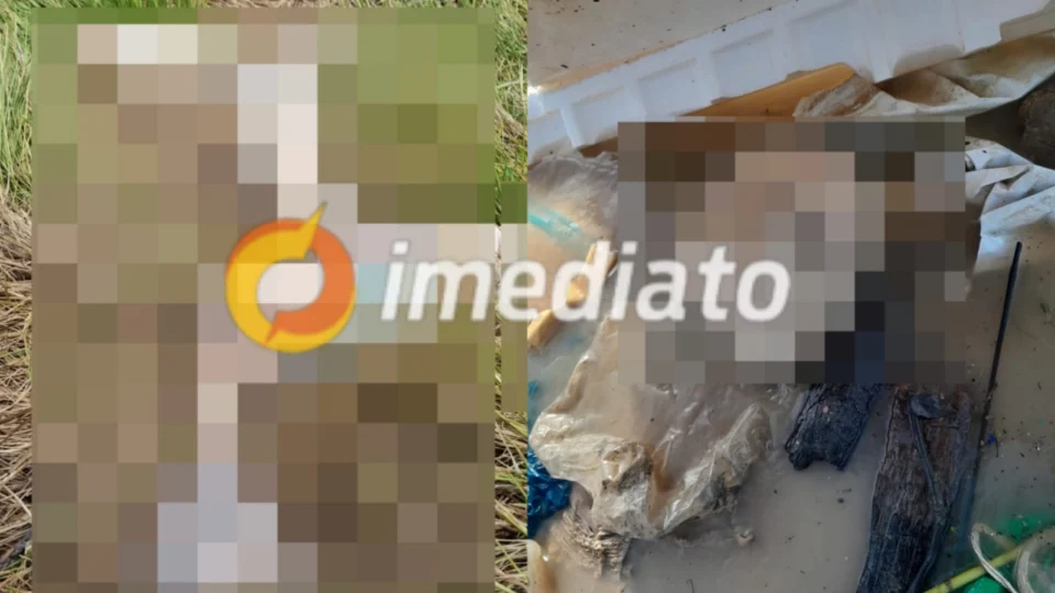 Cabeça, pernas e braço humano são encontrados na Manaus Moderna; VEJA FOTOS