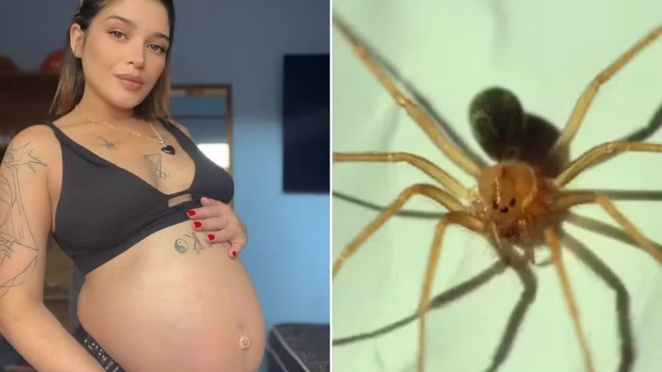 Grávida tem pele da perna necrosada após ser picada por aranha venenosa