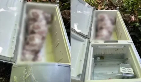 Mulher encontrada morta em geladeira foi assassinada por genro e filha de 13 anos