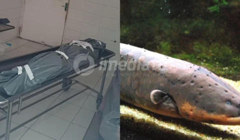 Caseiro leva descarga elétrica de puraquê e morre no ramal rocholândia em Manaus