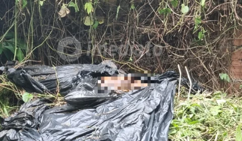 Cadáver é encontrado em terreno baldio em Manaus