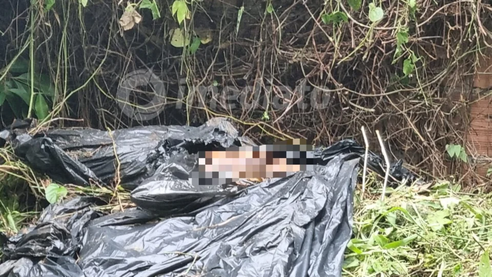 Cadáver é encontrado em terreno baldio em Manaus