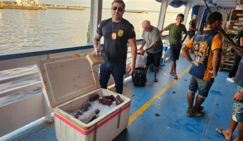 Dupla é presa em Manaus transportando drogas em caixa de isopor com açaí