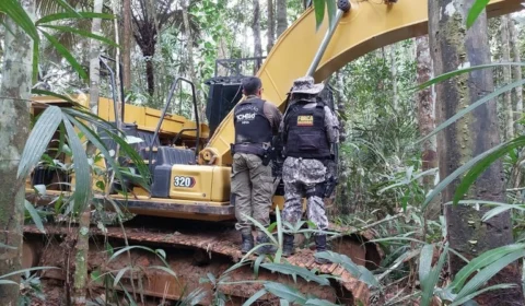 PF prende o último alvo de operação contra garimpo ilegal