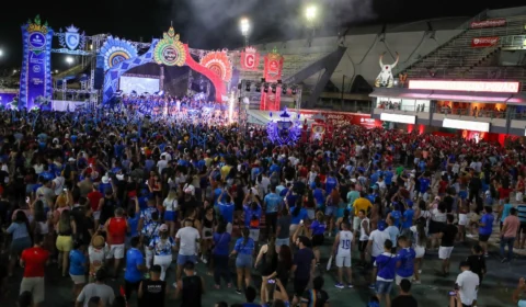 Ensaios dos Bumbás 2024: Caprichoso e Garantido mostram que temporada será especial