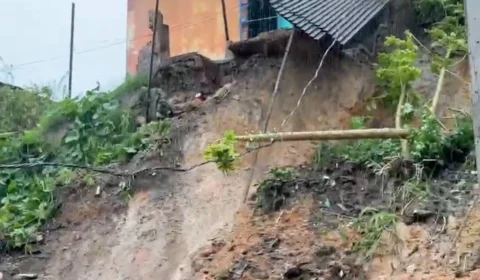 Cachorrinha é morta por deslizamento de terra no Petrópolis