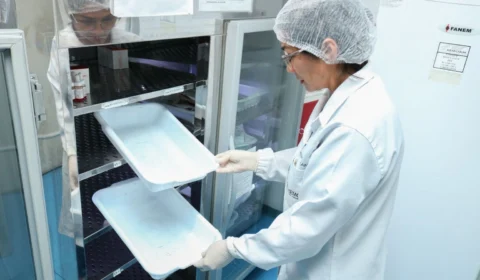 Hemoam alerta para estoque baixo de sangue durante feriado