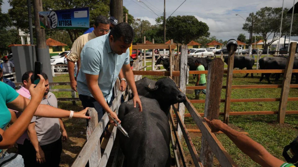 Governo Federal atende pleito de Wilson Lima e confirma Amazonas como livre de febre aftosa sem vacinação
