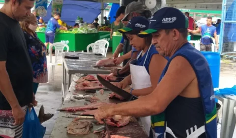 Semana Santa: FVS-RCP faz alerta para a compra e consumo de pescados