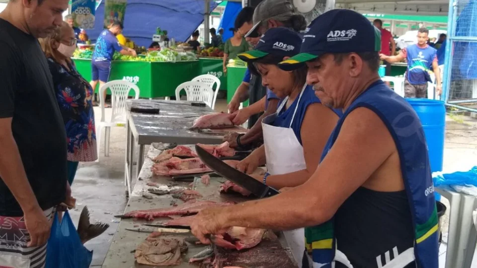 Semana Santa: FVS-RCP faz alerta para a compra e consumo de pescados