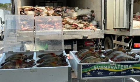 Com investimento de R$ 5,5 milhões, Governo do Amazonas realiza doação de 369 toneladas de pescado em ação solidária