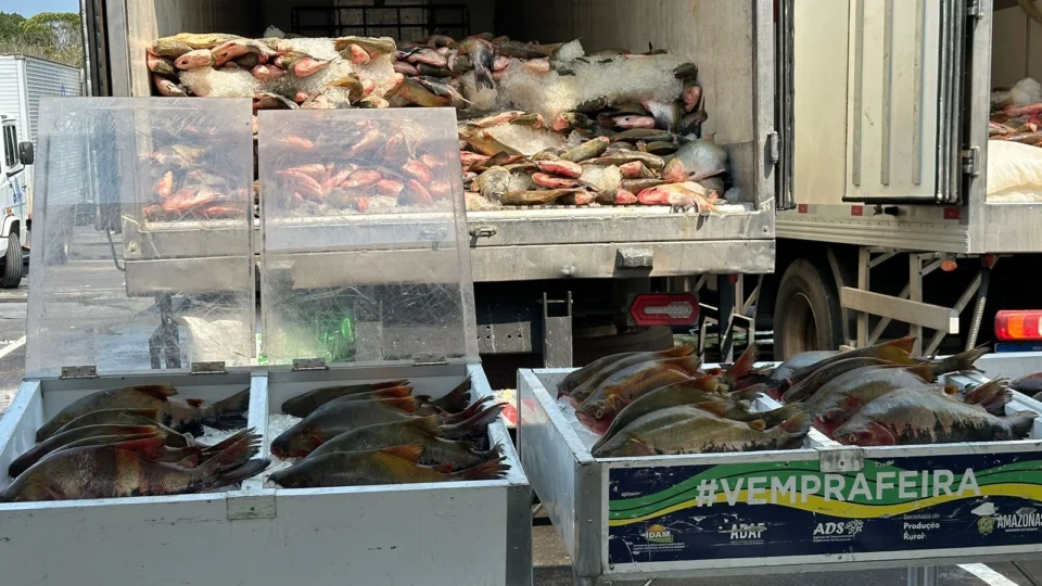 Com investimento de R$ 5,5 milhões, Governo do Amazonas realiza doação de 369 toneladas de pescado em ação solidária