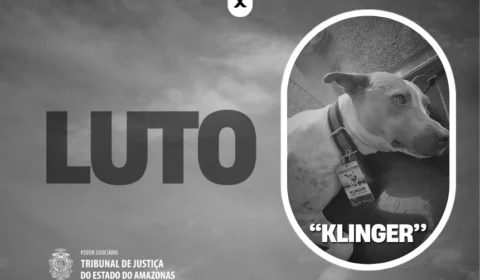 Klinger, o cachorro do Tribunal de Justiça, morre atropelado na Av. André Araújo