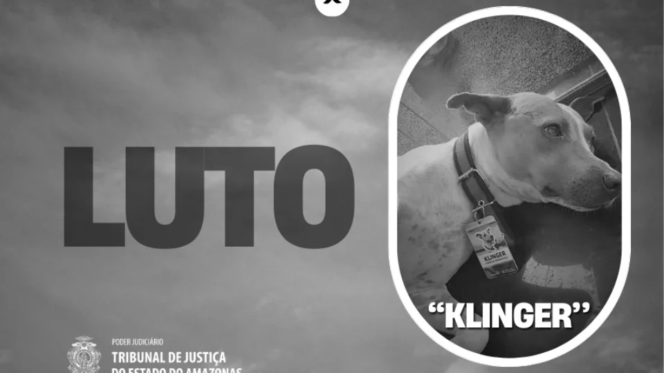 Klinger, o cachorro do Tribunal de Justiça, morre atropelado na Av. André Araújo