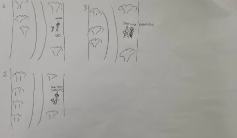 Menino fica em choque após estupro e faz desenho para explicar crime