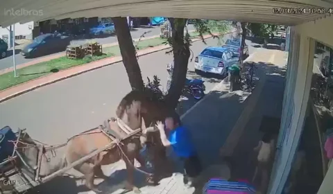 Vídeo: vereador é mordido por burro enquanto caminhava em calçada no Paraná