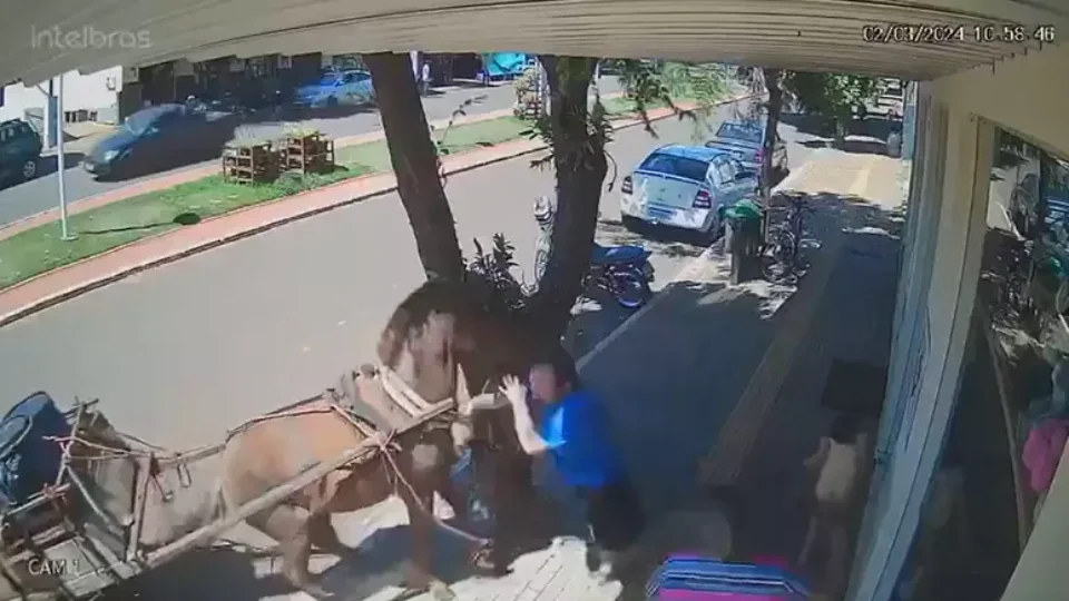 Vídeo: vereador é mordido por burro enquanto caminhava em calçada no Paraná