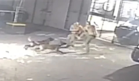 Veja Vídeo: policiais de tropa de elite brigam e acabam atacados por cães